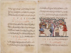Pengetahuan Ganja Medis Arab